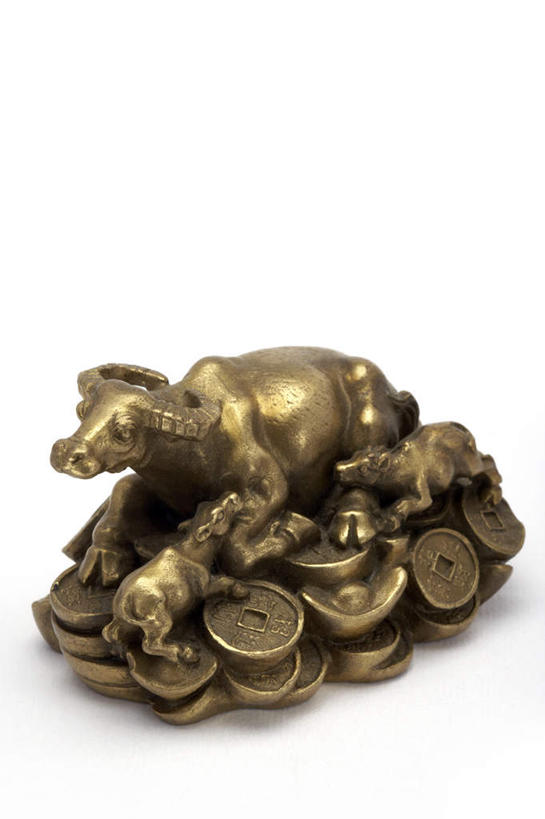 竖图,白色背景,幸福,运气,成功,牛,静物,中国,春节,艺术,装饰,雕刻,黄金,财富,铜,中国文化,东亚,繁荣,元旦,货币,硬币,水牛,彩图,影棚拍摄,传统文化,传统节日