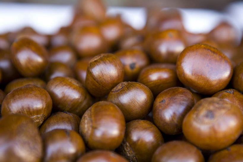 无人,横图,正面,静物,栗子,食品,坚果,褐色,饮食,摄影,堆,彩图