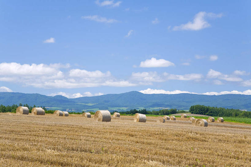 白天,美景,亚洲,地形,景观,干草,风景,天空,自然,草垛,夏天,景色,收获,自然风光,干草垛,彩图