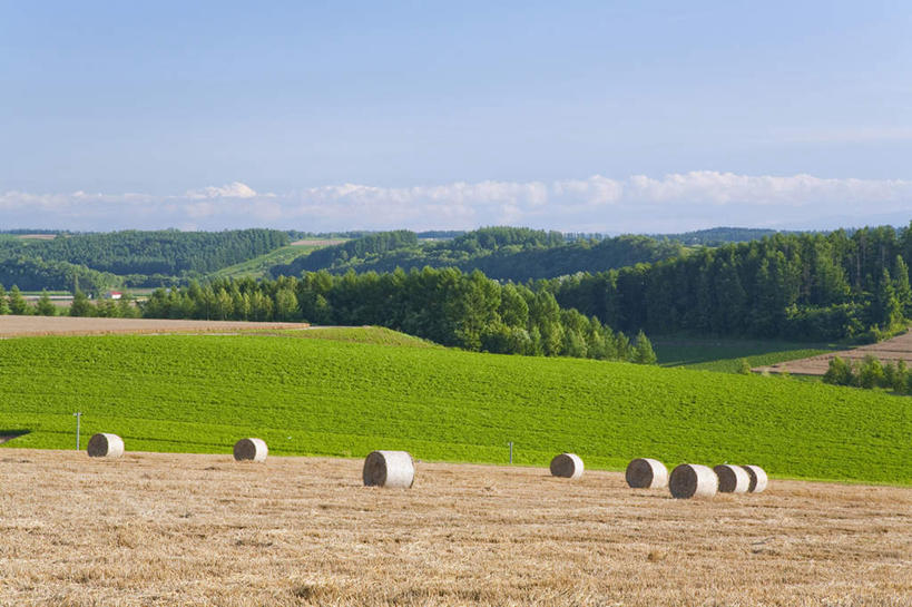 白天,美景,亚洲,地形,景观,干草,风景,天空,自然,草垛,夏天,景色,收获,自然风光,干草垛,彩图