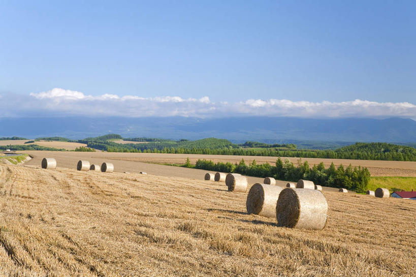 白天,美景,亚洲,地形,景观,干草,风景,天空,自然,草垛,夏天,景色,收获,自然风光,干草垛,彩图