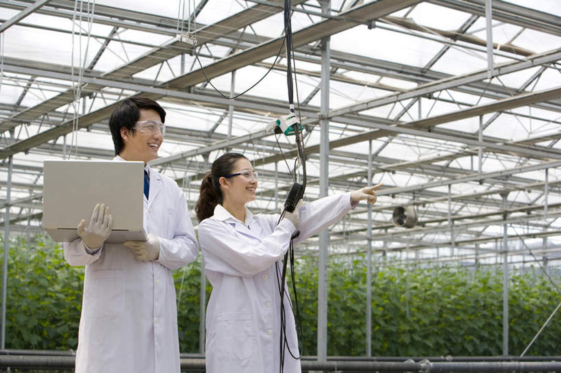 东方人,两个人,科学家,菜园,农场,笑,微笑,露齿笑,横图,白天,侧面,快乐,幸福,农业,笔记本电脑,技术,北京,中国,亚洲,敲打,指,种植,检查,研究,工作,分析,科学,园艺,温室,拿着,指点,输入,现代,夏天,打字,摄影,生长,护目镜,点击,敲击,指向,防护镜,东亚,实验服,科学实验,植物学家,按键,计算机,男人,男性,年轻男性,年轻女性,女人,女性,亚洲人,中国人,年轻人,技术员,彩图