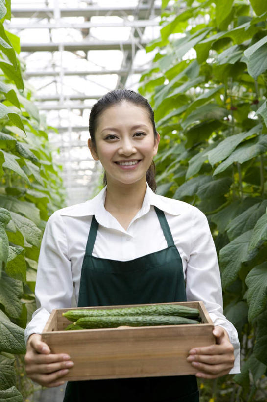 东方人,一个人,菜园,农场,笑,微笑,露齿笑,竖图,白天,正面,快乐,幸福,农业,采摘,黄瓜,蔬菜,北京,中国,亚洲,仅一个年轻女性,仅一个女性,仅一个人,种植,丰富,木制,园艺,食品,温室,拿着,现代,饮食,盒子,夏天,摄影,有机食品,生长,生活方式,收获,清新,肖像,酒箱,东亚,健康食物,年轻女性,女人,女性,亚洲人,中国人,年轻人,休闲活动,半身,彩图