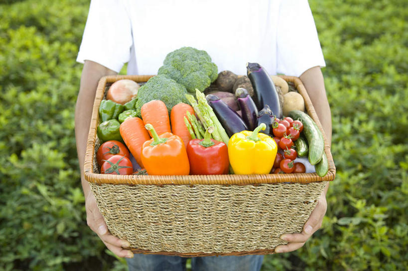 成年人,一个人,农场,横图,俯视,室外,白天,农业,农作物,胡萝卜,黄瓜,辣椒,芦笋,茄子,蔬菜,西红柿,静物,许多,丰富,新鲜,篮子,田地,园艺,西兰花,生食,食品,很多,拿着,饮食,食物,黄色,红色,自然,摄影,有机食品,绿色食品,生长,收获,部分,简单,柳条,清新,彩椒,健康食物,纯净,辣角,红海椒,大椒,辣虎,广椒,甜椒,柿子椒,落苏,酪酥,辣子,昆仑瓜,海椒,番椒,灯笼椒,矮瓜,彩图,高角度拍摄