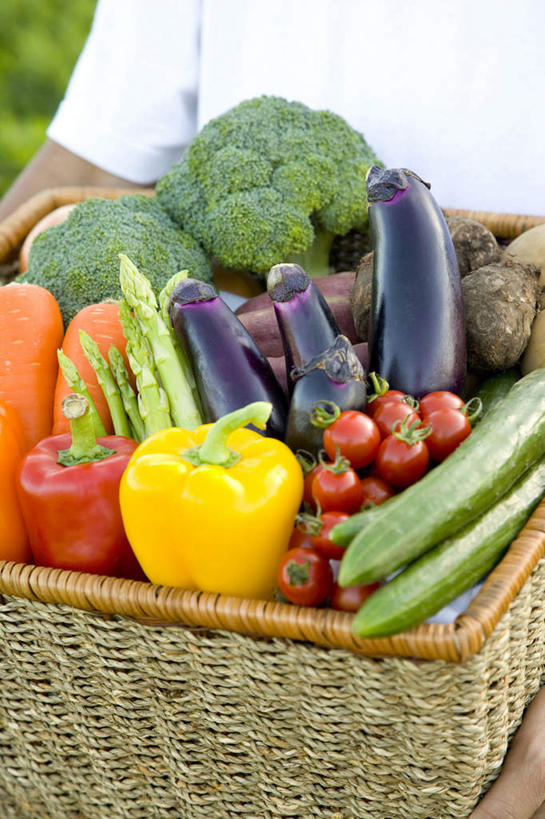 成年人,一个人,农场,竖图,俯视,室外,白天,农业,农作物,胡萝卜,黄瓜,辣椒,芦笋,茄子,蔬菜,西红柿,静物,许多,丰富,新鲜,篮子,田地,园艺,西兰花,生食,食品,很多,拿着,饮食,食物,黄色,红色,自然,摄影,有机食品,绿色食品,生长,收获,部分,简单,柳条,清新,彩椒,健康食物,纯净,辣角,红海椒,大椒,辣虎,广椒,甜椒,柿子椒,落苏,酪酥,辣子,昆仑瓜,海椒,番椒,灯笼椒,矮瓜,彩图,高角度拍摄