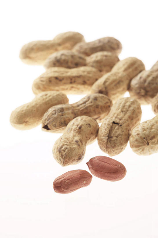 无人,竖图,室内,白色背景,花生,静物,许多,食品,坚果,很多,饮食,摄影,影棚,简单,清新,摄影棚,健康食物,纯净,彩图,影棚拍摄,拍摄