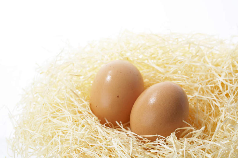 无人,横图,室内,留白,白色背景,静物,两个,摄影,保护,卵,彩图,影棚拍摄