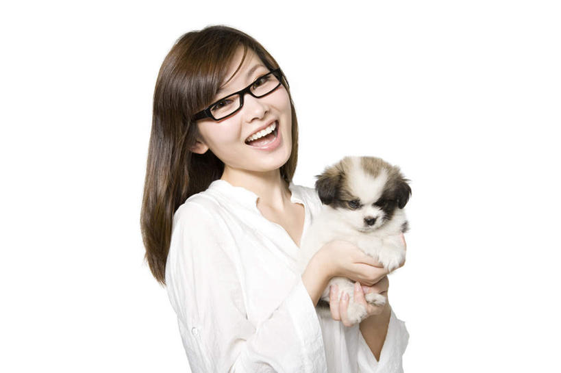 东方人,成年人,一个人,笑,微笑,露齿笑,横图,竖图,留白,白色背景,正面,快乐,纯洁,信心,中国,亚洲,仅一个年轻女性,仅一个女性,仅一个人,服装,眼镜,小狗,拿着,休闲装,衣服,白色,张嘴,休闲,可爱,童年,童趣,服饰,衣着,穿着,张大嘴巴,童真,东亚,烂漫,无邪,北京市,衣饰,无忧无虑,天真,年轻女性,女人,女性,亚洲人,中国人,年轻人,直发,张开嘴,半身,彩图,影棚拍摄,美人,哈叭狗