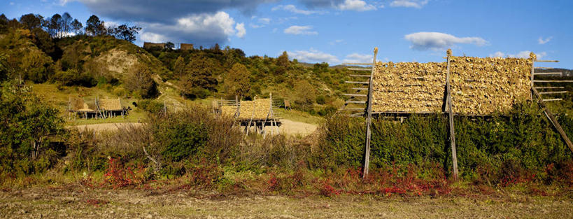 无人,横图,室外,美景,香格里拉,中国,亚洲,景观,自然,景色,摄影,自然风光,东亚,云南省,秋天,彩图