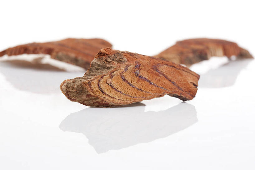 无人,横图,特写,植物,静物,北京,中国,亚洲,药,食品,草药,药草,饮食,中药,饮料,干花,摄影,有机食品,影棚,多样,中国文化,摄影棚,药材,中草药,营养品,中医,东亚,健康食物,中药材,本草,密花豆,彩图,影棚拍摄,拍摄,白花油麻藤,鸡血藤,亮叶岩豆藤,山鸡血藤,香花岩豆藤,血藤,传统文化