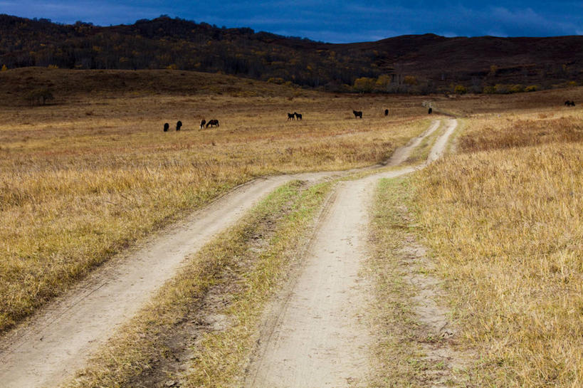 无人,横图,室外,白天,山,路,马,坝上,中国,亚洲,地形,草,天空,自然,摄影,东亚,内蒙古,彩图