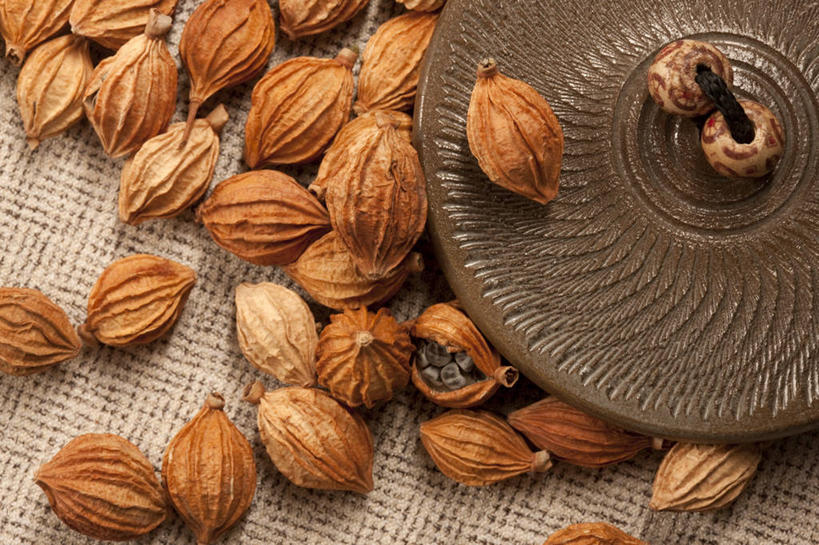 无人,横图,特写,留白,静物,许多,香料,食品,很多,饮食,彩图,砂仁