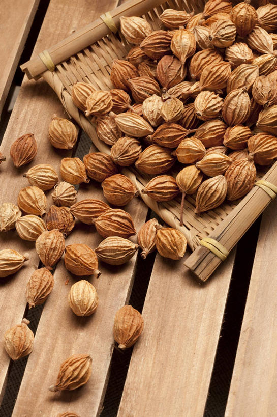 无人,竖图,特写,留白,静物,许多,香料,食品,很多,饮食,彩图,砂仁