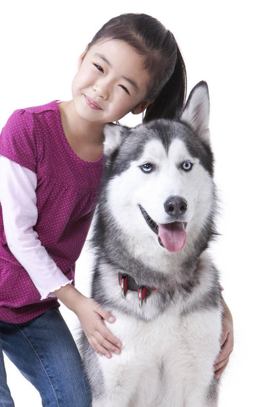 儿童,一个人,微笑,竖图,白色背景,正面,快乐,友谊,幸福,纯洁,宠物,狗,北京,中国,亚洲,休闲装,小孩,动物,可爱,乐趣,童年,童趣,哈士奇,哈士奇犬,摄影,影棚,生活方式,享乐,摄影棚,西伯利亚雪橇犬,雪橇犬,肖像,童真,东亚,东亚人,烂漫,无邪,忠诚,哈士奇狗,西伯利亚哈士奇,天真,女孩,亚洲人,中国人,孩子,犬,半身,彩图,影棚拍摄,爱,拍摄,西伯利亚犬