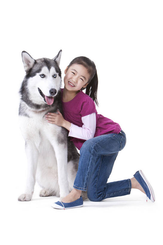 儿童,一个人,笑,微笑,露齿笑,竖图,白色背景,正面,快乐,友谊,幸福,纯洁,宠物,狗,北京,中国,亚洲,并排,休闲装,小孩,动物,可爱,乐趣,童年,童趣,搭,哈士奇,哈士奇犬,摄影,影棚,生活方式,享乐,搭着,摄影棚,西伯利亚雪橇犬,雪橇犬,肖像,童真,东亚,东亚人,烂漫,无邪,忠诚,哈士奇狗,西伯利亚哈士奇,天真,女孩,亚洲人,中国人,孩子,犬,彩图,影棚拍摄,爱,拍摄,西伯利亚犬