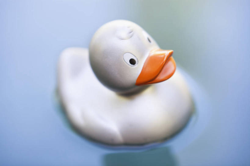 无人,横图,俯视,室内,特写,白天,游戏,水,玩具,朦胧,模糊,鸭子,液体,池塘,水池,水滴,玩,娱乐,一只,蓝色,白色,休闲,橡胶,益智,活动,发泄,消遣,智力,橡胶制品,宣泄,橡胶小鸭,橡皮小鸭,玩耍,嬉戏,彩图,高角度拍摄