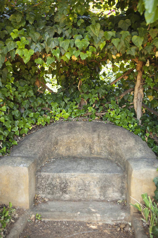 无人,竖图,室外,白天,正面,旅游,度假,美景,植物,椅子,非洲,南非,躺椅,景观,首都,娱乐,树,树木,绿色,自然,享受,休闲,石椅,景色,放松,生长,成长,自然风光,开普敦,省会,阿非利加洲,立法首都,南非共和国,西开普省,彩图