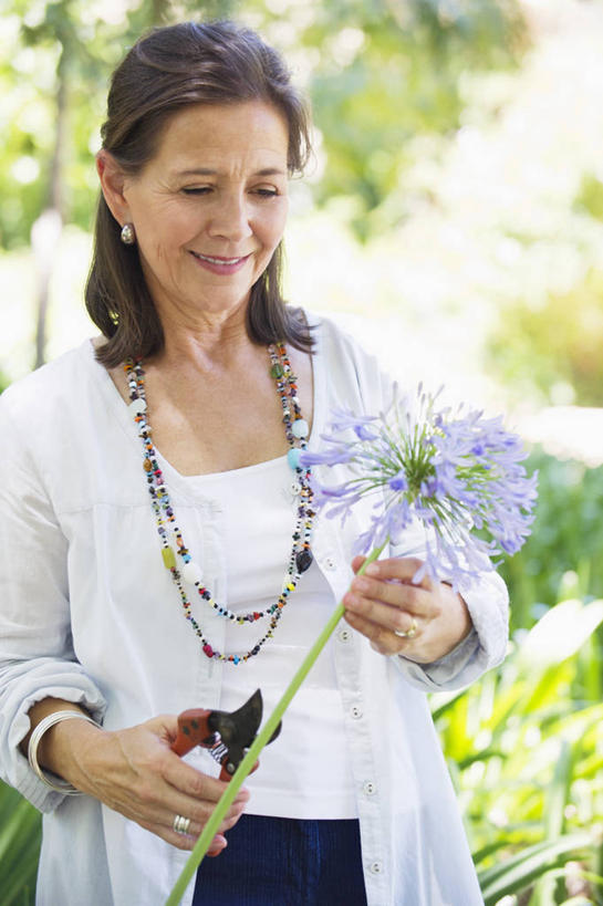 西方人,一个人,站,笑,微笑,竖图,室外,白天,正面,草地,草坪,植物,项链,欧洲,欧洲人,仅一个女性,仅一个人,握,修剪,阴影,服装,朦胧,模糊,盛开,光线,工具,剪刀,影子,园艺工具,园艺,拿,花蕾,拿着,注视,休闲装,装饰品,草,花,花瓣,花朵,鲜花,树,树木,衣服,绿色,阳光,自然,饰品,首饰,花苞,花蕊,低头,观察,看,站着,休闲,休闲服,握着,服饰,仅一个老年女性,生长,成长,观看,裁剪,察看,剪子,剪裁,切割,关注,篱笆剪,整篱剪,老年女性,女人,女性,白种人,站立,半身,彩图,大平剪,绿篱剪