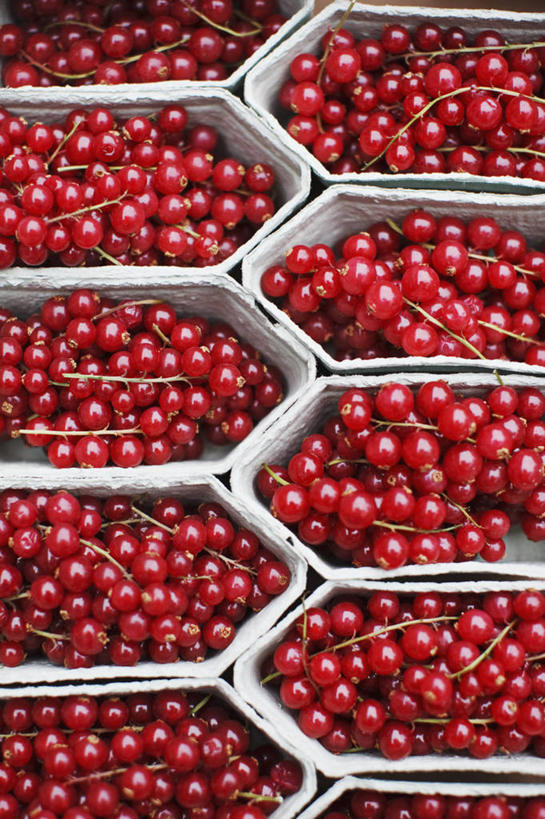 无人,竖图,俯视,室内,特写,白天,浆果,水果,一堆,一排,许多,堆叠,堆积,新鲜,整齐,并列,并排,纸盒,生食,食品,果实,很多,盒子,食物,排列,红色,包装盒,摄影,有机食品,绿色食品,影棚,堆,曼越桔,蔓越橘,蔓越莓,小红莓,队列,平行,酸莓,彩图,高角度拍摄,影棚拍摄,拍摄,酸果蔓