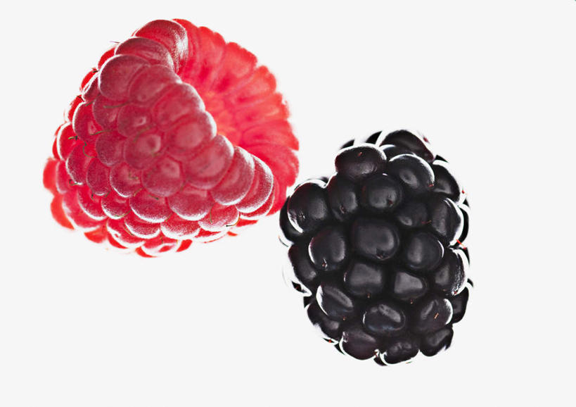 无人,横图,室内,特写,白天,白色背景,正面,浆果,黑莓,水果,新鲜,桑葚,桑椹,生食,食品,果实,食物,两个,红色,黑色,覆盆子,摄影,有机食品,绿色食品,影棚,露莓,熊果,熊梅,熊葡萄,彩图,影棚拍摄,拍摄
