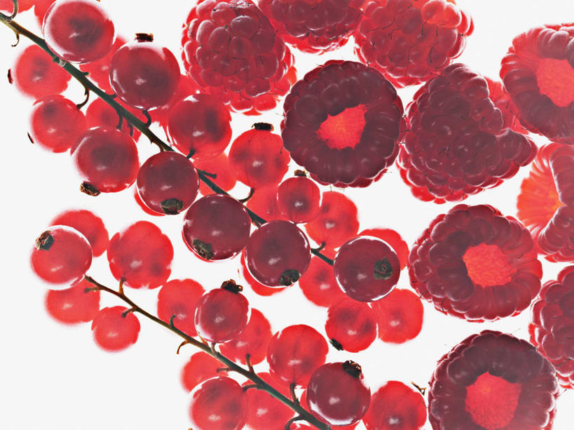 无人,横图,俯视,室内,特写,白天,白色背景,餐桌,桌子,浆果,水果,一堆,许多,阴影,堆叠,堆积,新鲜,反射,影子,生食,食品,果实,很多,食物,红色,摄影,有机食品,绿色食品,影棚,餐台,堆,曼越桔,蔓越橘,蔓越莓,小红莓,山莓,树莓,三月泡,四月泡,山抛子,刺葫芦,悬钩子,馒头菠,高脚菠,龙船泡,泡儿刺,酸莓,彩图,高角度拍摄,影棚拍摄,拍摄,酸果蔓