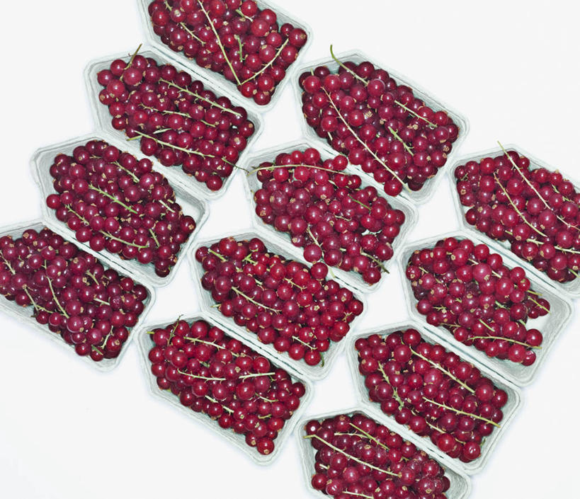 无人,横图,俯视,室内,特写,白天,白色背景,浆果,水果,一堆,一排,许多,堆叠,堆积,新鲜,整齐,并列,并排,纸盒,生食,食品,果实,很多,盒子,食物,排列,红色,包装盒,摄影,有机食品,绿色食品,影棚,堆,曼越桔,蔓越橘,蔓越莓,小红莓,队列,平行,酸莓,彩图,高角度拍摄,影棚拍摄,拍摄,酸果蔓