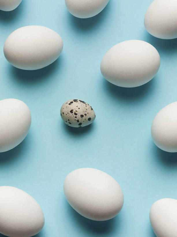 无人,竖图,俯视,室内,特写,白天,许多,阴影,蓝色背景,反射,影子,斑点,蛋,鸡蛋,鹌鹑蛋,很多,白色,黑色,摄影,影棚,草鸡蛋,卵,鹌鹑卵,鹑鸟蛋,彩图,高角度拍摄,影棚拍摄,拍摄