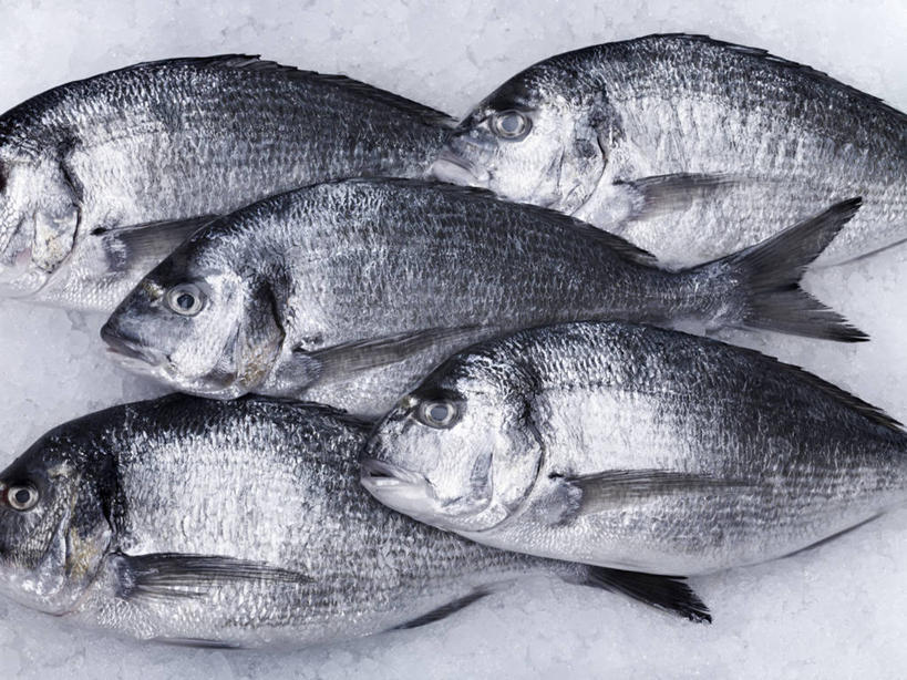 海鲜,无人,躺,横图,俯视,室内,特写,白天,白色背景,鱼,银色,水产,鱼类,海洋生物,摄影,影棚,五条,水生动物,海产品,水生物,海底动物,卧着,躺着,卧,半身,彩图,高角度拍摄,影棚拍摄,拍摄