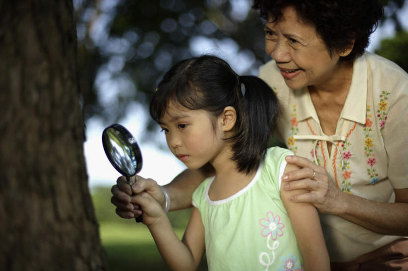东方人,儿童,老年人,两个人,家庭,祖母,站,笑,微笑,露齿笑,横图,室外,白天,正面,纯洁,仪器,草地,草坪,植物,亚洲,握,服装,检查,朦胧,模糊,反射,分析,科学,放大镜,拿,拿着,注视,休闲装,黄种人,装饰品,草,树,树木,小孩,衣服,绿色,自然,饰品,手链,首饰,观察,看,站着,休闲,温暖,温馨,一家人,休闲服,可爱,清晰,探索,童年,童趣,搭,握着,服饰,手镯,生长,放大,奶奶,成长,观看,祖孙,仔细,透镜,和睦,察看,凸透镜,聚焦,搭着,关注,镯子,童真,烂漫,无邪,外婆,外孙女,外祖母,光学,清楚,天真,老年女性,女孩,女人,女性,亚洲人,孩子,孙女,站立,半身,彩图,融洽,女生