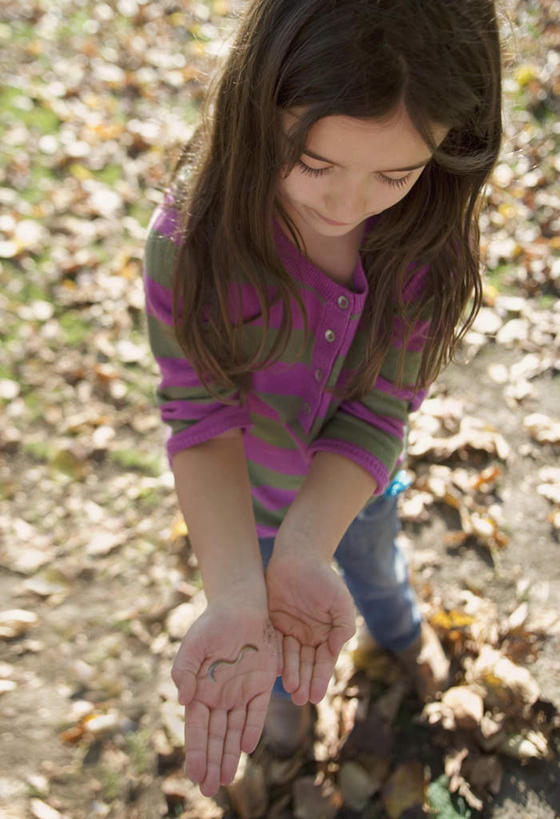 西方人,儿童,一个人,站,捧,竖图,俯视,室外,白天,纯洁,草地,草坪,植物,野生动物,叶子,欧洲,欧洲人,仅一个女性,仅一个人,许多,覆盖,服装,昆虫,枯叶,落叶,很多,注视,休闲装,草,小孩,衣服,绿色,动物,观察,看,站着,仅一个小孩,休闲,休闲服,可爱,童年,童趣,服饰,活泼,观看,察看,关注,蚯蚓,童真,烂漫,无邪,遮盖,笼罩,笼盖,地虫,地龙,坚蚕,蛐蟮,天真,女孩,女人,女性,白种人,孩子,叶,叶片,端,端着,捧着,手捧,站立,半身,彩图,高角度拍摄,女生