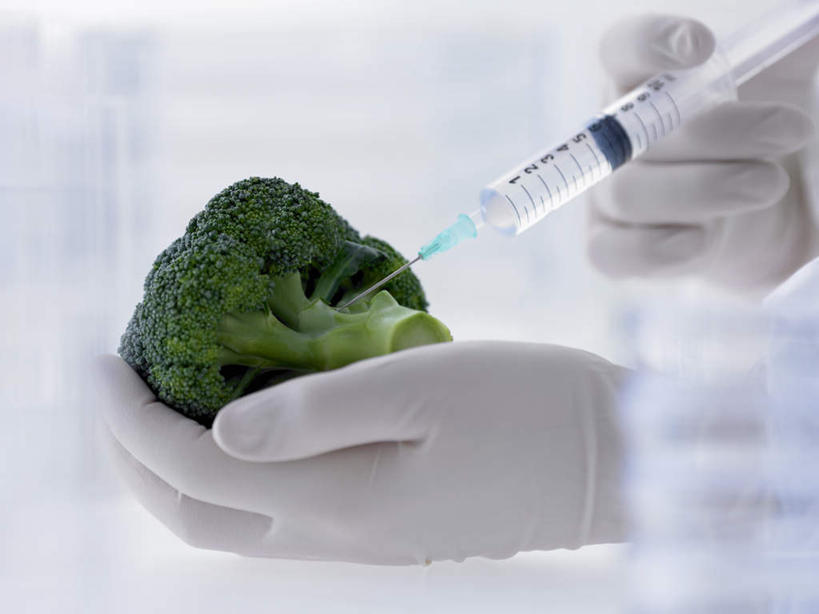 西方人,一个人,横图,室内,特写,白天,正面,实验,研发,蔬菜,欧洲,欧洲人,仅一个年轻女性,仅一个女性,仅一个人,一双,握,阴影,朦胧,模糊,新鲜,研究,反射,科学,液体,影子,实验室,研究室,花菜,花椰菜,西兰花,食品,拿,拿着,食物,一个,手套,橡胶,针管,针筒,握着,注射,有机食品,绿色食品,单个,椰菜花,科研,医疗,医疗设备,注射器,化验,橡胶手套,检验,研究所,橡胶制品,试验室,化验室,检验室,医用手套,甘蓝花,年轻女性,女人,女性,白种人,半身,彩图