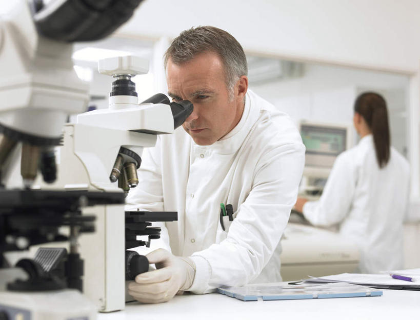 西方人,背部,两个人,同事,科学家,站,坐,横图,室内,白天,正面,工作服,制服,成功,合作,团队,集体,信心,仪器,欧洲,欧洲人,握,阴影,检查,朦胧,模糊,反射,分析,科学,显微镜,影子,办公桌,墙,实验室,研究室,注视,队伍,墙壁,墙面,白色,手套,观察,看,站着,橡胶,清晰,探索,握着,放大,观看,仔细,透镜,察看,领导,凸透镜,聚焦,科研人员,成就,关注,研究者,橡胶手套,合伙,领袖,橡胶制品,试验室,科学研究者,医用手套,光学,清楚,工作制服,男人,男性,年轻女性,女人,女性,中年男性,白种人,科学工作者,站立,坐着,半身,彩图,工作套服