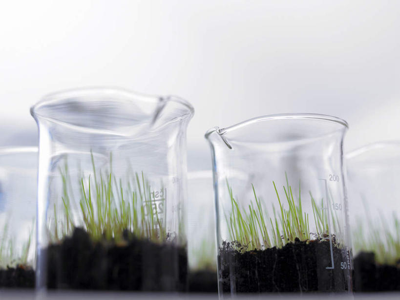 无人,横图,室内,特写,白天,仰视,实验,研发,天花板,芹菜,蔬菜,玻璃,一堆,许多,阴影,堆叠,堆积,朦胧,模糊,新鲜,研究,反射,科学,影子,实验室,泥土,土壤,研究室,食品,玻璃制品,食物,白色,玻璃瓶,瓶子,有机食品,绿色食品,堆,科研,化验,检验,研究所,广口瓶,化验室,检验室,根芹菜,根洋芹,球根塘蒿,药芹,水芹,旱芹,彩图,低角度拍摄