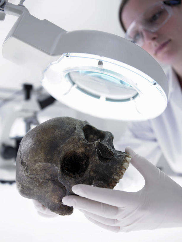 西方人,手,颅骨,一个人,科学家,竖图,室内,白天,仰视,安全,实验,研发,仪器,欧洲,欧洲人,仅一个年轻女性,仅一个女性,仅一个人,握,检查,研究,反射,分析,科学,放大镜,眼镜,实验室,研究室,防护,拿,拿着,注视,一个,手套,观察,看,手部,清晰,探索,握着,放大,单个,观看,护目镜,保护,单手,仔细,透镜,科研,察看,凸透镜,聚焦,科研人员,关注,化验,保险,研究者,检验,研究所,科学研究者,化验室,检验室,光学,保全,周全,安稳,安定,清楚,防护手套,安全防护眼镜,鼻骨,顶骨,额骨,颈椎,颞骨,下颌骨,颧骨,平安,年轻女性,女人,女性,白种人,头盖骨,科学工作者,半身,彩图,低角度拍摄,防护眼镜