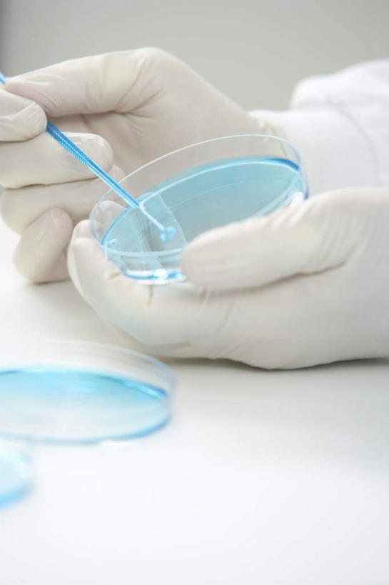 西方人,手,一个人,科学家,竖图,室内,特写,白天,正面,安全,实验,研发,仪器,欧洲,欧洲人,双手,仅一个男性,仅一个人,仅一个中年男性,握,朦胧,模糊,研究,分析,科学,化学,测试,培养皿,实验室,研究室,防护,拿,拿着,手套,手部,器皿,生物,握着,保护,科研,科研人员,化验,保险,研究者,检验,研究所,科学研究者,试验耗材,实验用品,化学器材,化验室,检验室,保全,周全,安稳,安定,防护手套,平安,男人,男性,中年男性,白种人,科学工作者,半身,彩图