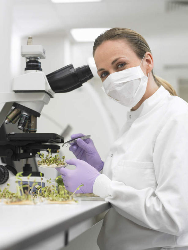 西方人,一个人,科学家,坐,竖图,室内,白天,侧面,工作服,制服,安全,实验,研发,仪器,植物,叶子,欧洲,欧洲人,仅一个女性,仅一个人,握,服装,检查,研究,反射,分离,分析,科学,显微镜,实验室,研究室,绿叶,防护,过滤,拿,分开,拿着,扭头,注视,衣服,绿色,紫色,白色,自然,口罩,手套,观察,看,转头,仅一个中年女性,嫩叶,隔断,清晰,探索,握着,遮掩,服饰,生长,放大,成长,观看,保护,隔离,仔细,透镜,科研,察看,卫生,掩盖,凸透镜,遮挡,聚焦,衣着,科研人员,穿着,关注,净化,间隔,化验,保险,研究者,预防,检验,研究所,遮盖,防尘,科学研究者,化验室,检验室,光学,保全,周全,安稳,安定,清楚,防护手套,掩饰,断绝,隔开,屏蔽,屏绝,远离,中断,阻遏,阻隔,工作制服,衣饰,平安,女人,女性,中年女性,白种人,科学工作者,叶,叶片,坐着,半身,彩图,工作套服