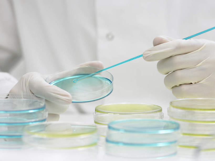 西方人,手,一个人,科学家,横图,室内,特写,白天,正面,工作服,制服,安全,实验,研发,仪器,欧洲,欧洲人,双手,仅一个男性,仅一个人,仅一个中年男性,许多,握,服装,研究,分析,科学,化学,测试,培养皿,实验室,研究室,防护,很多,拿,拿着,衣服,白色,手套,手部,器皿,生物,握着,服饰,保护,科研,衣着,科研人员,穿着,化验,保险,研究者,检验,研究所,科学研究者,试验耗材,实验用品,化学器材,化验室,检验室,保全,周全,安稳,安定,防护手套,工作制服,衣饰,平安,男人,男性,中年男性,白种人,科学工作者,半身,彩图,工作套服