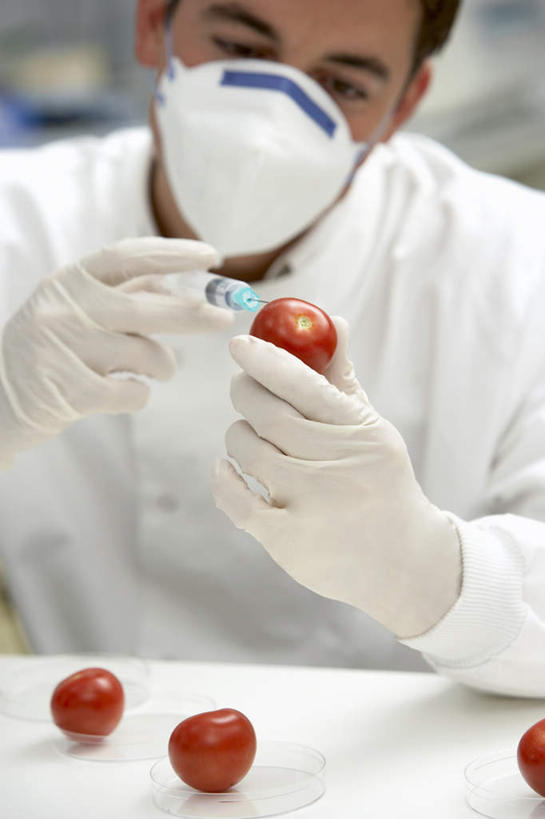 西方人,一个人,科学家,坐,竖图,室内,白天,正面,工作服,制服,安全,实验,研发,蔬菜,西红柿,欧洲,欧洲人,仅一个男性,仅一个人,仅一个中年男性,握,服装,新鲜,研究,分离,科学,实验室,研究室,食品,防护,过滤,拿,分开,拿着,注视,食物,衣服,红色,白色,口罩,手套,观察,看,四个,隔断,针管,针筒,握着,遮掩,注射,服饰,有机食品,绿色食品,观看,保护,隔离,科研,察看,医疗,医疗设备,卫生,注射器,掩盖,遮挡,衣着,科研人员,穿着,关注,净化,间隔,化验,保险,研究者,预防,检验,研究所,遮盖,防尘,科学研究者,化验室,检验室,保全,周全,安稳,安定,防护手套,掩饰,断绝,隔开,屏蔽,屏绝,远离,中断,阻遏,阻隔,工作制服,衣饰,平安,男人,男性,中年男性,白种人,科学工作者,番茄,坐着,半身,彩图,工作套服