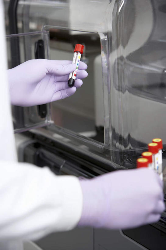 西方人,手,一个人,科学家,竖图,室内,特写,白天,侧面,安全,实验,研发,仪器,杯子,欧洲,欧洲人,双手,仅一个年轻女性,仅一个女性,仅一个人,握,朦胧,模糊,研究,透明,分析,科学,化学,测试,试管,实验室,研究室,防护,拿,拿着,玻璃制品,紫色,玻璃瓶,瓶子,手套,手部,器皿,握着,保护,科研,科研人员,化验,保险,研究者,检验,计量,研究所,科学研究者,玻璃仪器,试验耗材,实验用品,化验室,检验室,保全,周全,安稳,安定,防护手套,平安,年轻女性,女人,女性,白种人,科学工作者,玻璃杯,半身,彩图