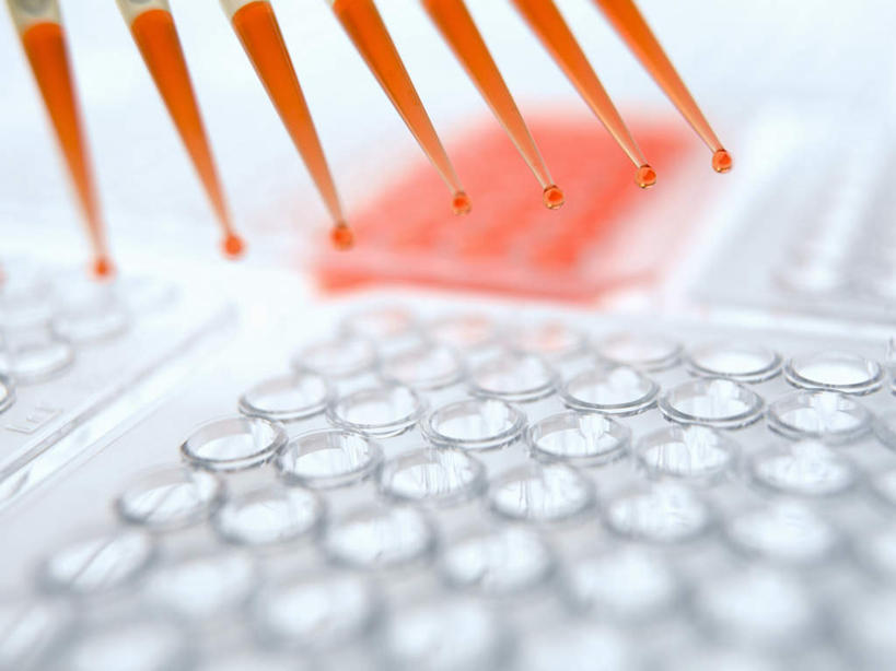 无人,横图,俯视,室内,特写,白天,实验,研发,仪器,水,静物,杯子,一排,许多,朦胧,模糊,研究,整齐,并列,并排,透明,分析,科学,化学,测试,滴管,试管,液体,实验室,水滴,研究室,很多,玻璃制品,排列,玻璃瓶,瓶子,橙色,器皿,科研,队列,化验,检验,平行,计量,研究所,玻璃仪器,试验耗材,实验用品,吸液管,化验室,检验室,移液管,玻璃杯,彩图,高角度拍摄