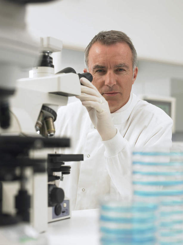 西方人,一个人,科学家,坐,竖图,室内,白天,正面,工作服,制服,安全,实验,研发,仪器,欧洲,欧洲人,仅一个男性,仅一个人,仅一个中年男性,一排,握,服装,检查,朦胧,模糊,研究,整齐,反射,分析,科学,化学,测试,培养皿,显微镜,实验室,研究室,防护,拿,拿着,注视,排列,衣服,白色,手套,观察,看,器皿,生物,清晰,探索,握着,服饰,放大,观看,堆,保护,仔细,透镜,科研,察看,凸透镜,聚焦,衣着,科研人员,穿着,队列,关注,化验,保险,研究者,检验,研究所,皮氏培养皿,科学研究者,试验耗材,实验用品,化学器材,化验室,检验室,光学,保全,周全,安稳,安定,清楚,防护手套,工作制服,衣饰,平安,男人,男性,中年男性,白种人,科学工作者,坐着,半身,彩图,工作套服