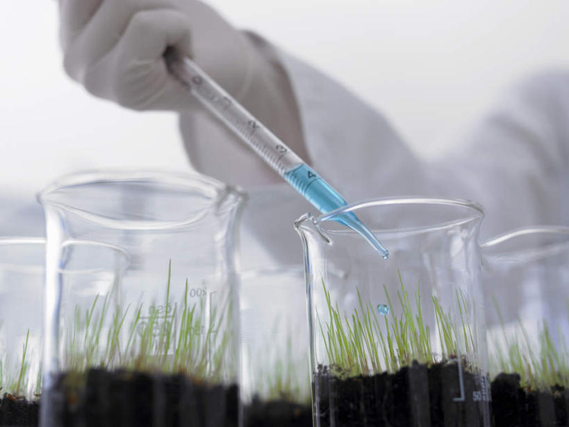 西方人,手,一个人,科学家,横图,室内,特写,白天,仰视,工作服,制服,安全,实验,研发,仪器,植物,杯子,欧洲,欧洲人,仅一个年轻女性,仅一个女性,仅一个人,握,服装,朦胧,模糊,研究,透明,分析,科学,化学,测试,滴管,烧杯,实验室,研究室,防护,拿,拿着,玻璃制品,衣服,绿色,白色,自然,玻璃瓶,瓶子,手套,手部,器皿,握着,服饰,生长,成长,保护,单手,科研,衣着,科研人员,穿着,化验,保险,研究者,检验,计量,研究所,科学研究者,玻璃仪器,试验耗材,实验用品,吸液管,化验室,检验室,保全,周全,安稳,安定,防护手套,移液管,工作制服,衣饰,平安,年轻女性,女人,女性,白种人,科学工作者,玻璃杯,半身,彩图,低角度拍摄,工作套服