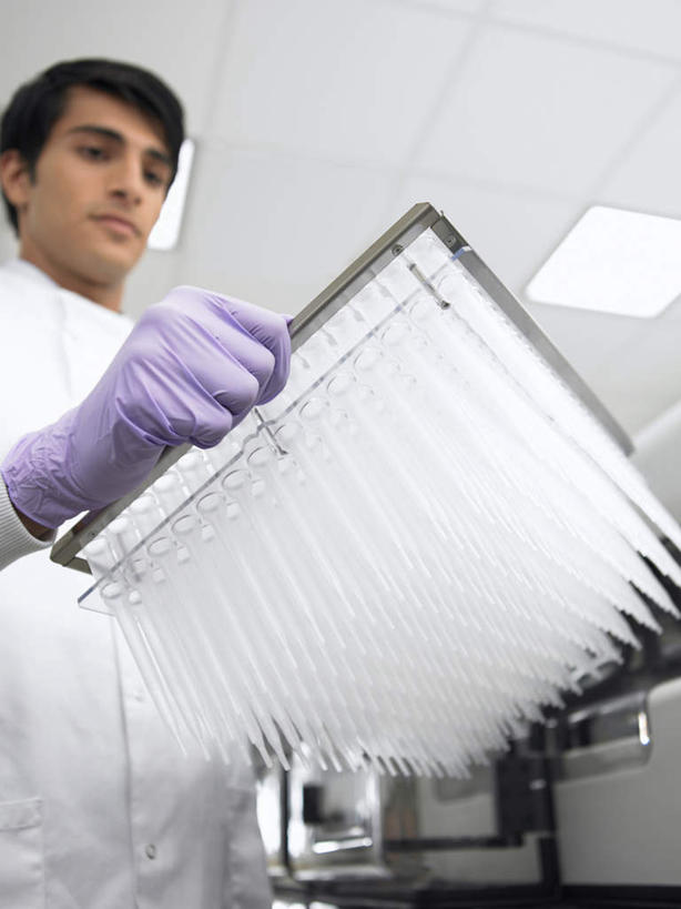 西方人,一个人,科学家,站,竖图,室内,白天,仰视,工作服,制服,安全,实验,研发,仪器,杯子,欧洲,欧洲人,仅一个男性,仅一个人,一排,握,服装,研究,整齐,透明,分析,科学,化学,测试,试管,实验室,研究室,防护,拿,拿着,注视,玻璃制品,排列,仅一个年轻男性,衣服,紫色,白色,玻璃瓶,瓶子,手套,观察,看,站着,器皿,握着,服饰,观看,保护,科研,察看,衣着,科研人员,穿着,队列,关注,化验,保险,研究者,检验,计量,研究所,科学研究者,玻璃仪器,试验耗材,实验用品,化验室,检验室,保全,周全,安稳,安定,防护手套,工作制服,衣饰,平安,男人,男性,年轻男性,白种人,科学工作者,玻璃杯,站立,半身,彩图,低角度拍摄,工作套服