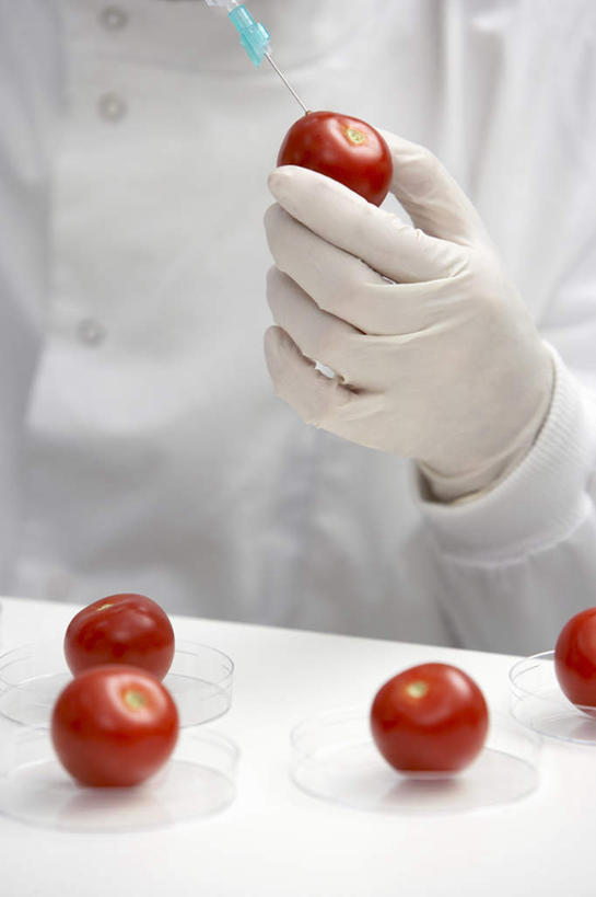 西方人,手,一个人,科学家,坐,竖图,室内,特写,白天,正面,工作服,制服,桌子,蔬菜,西红柿,小番茄,欧洲,欧洲人,仅一个年轻女性,仅一个女性,仅一个人,握,朦胧,模糊,新鲜,办公桌,实验室,研究室,食品,拿,拿着,食物,手套,手部,橡胶,针管,针筒,握着,注射,有机食品,绿色食品,单手,医疗,医疗设备,注射器,科研人员,研究者,橡胶手套,橡胶制品,试验室,科学研究者,医用手套,工作制服,小西红柿,樱桃小番茄,珍珠小番茄,年轻女性,女人,女性,白种人,科学工作者,樱桃番茄,圣女果,番茄,坐着,半身,彩图,工作套服