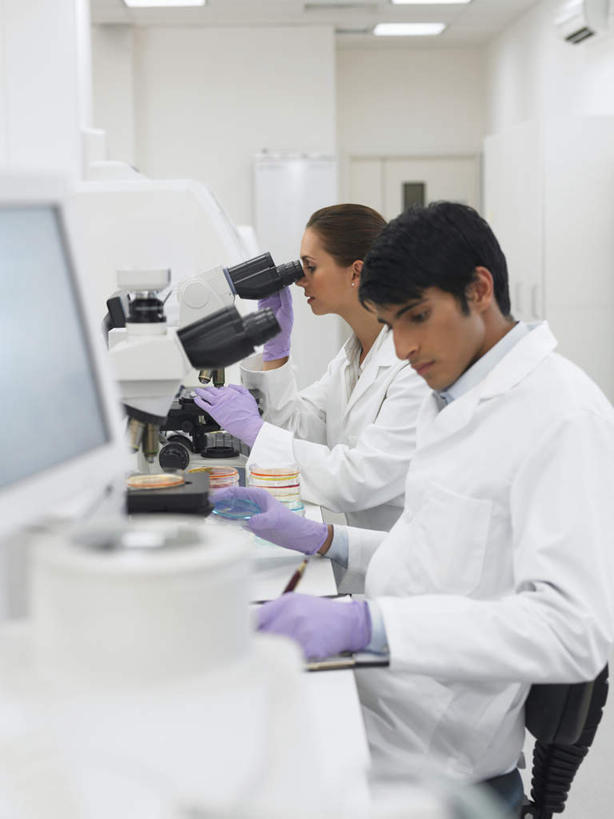 西方人,两个人,伙伴,朋友,科学家,坐,竖图,室内,白天,侧面,工作服,制服,友谊,合作,团队,电脑,显示器,鼠标,键盘,仪器,桌子,照明,欧洲,欧洲人,握,检查,反射,分析,科学,网络,笔,显微镜,办公桌,实验室,研究室,灯光,办公用品,记事本,拿,拿着,输入设备,通讯设备,顶灯,水笔,灯,文具,本子,笔记本,手套,学习用品,灯具,低头,观察,橡胶,台式电脑,清晰,探索,战略,握着,放大,观看,仔细,文具用品,照亮,透镜,书写,凸透镜,聚焦,科研人员,照明设备,关注,通信设备,研究者,橡胶手套,橡胶制品,输出设备,试验室,科学研究者,医用手套,光学,清楚,联合,合谋,工作制服,配合,协作,男人,男性,年轻男性,年轻女性,女人,女性,白种人,科学工作者,坐着,半身,彩图,工作套服