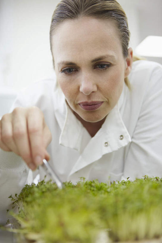 西方人,一个人,科学家,站,竖图,室内,白天,正面,工作服,制服,植物,金属制品,照明,欧洲,欧洲人,仅一个女性,仅一个人,弯腰,握,朦胧,模糊,金属,镊子,实验室,研究室,灯光,拿,拿着,顶灯,灯,一个,绿色,自然,灯具,靠,靠着,站着,仅一个中年女性,握着,生长,单个,成长,照亮,科研人员,照明设备,研究者,试验室,秧苗,科学研究者,弯身,工作制服,女人,女性,中年女性,白种人,科学工作者,站立,半身,彩图,工作套服