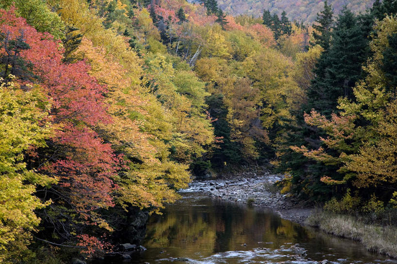 无人,横图,室外,白天,正面,旅游,度假,河流,美景,森林,树林,水,植物,加拿大,河水,景观,水流,娱乐,树,树木,绿色,倒影,小溪,自然,溪水,享受,休闲,景色,放松,生长,成长,倒映,北美,北美洲,自然风光,美洲,新斯科舍,北亚美利加洲,亚美利加洲,布雷顿角岛,新斯科舍省,反照,彩图