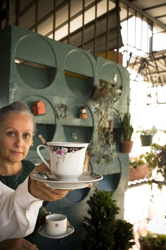 西方人,手,一个人,木屋,站,捧,竖图,室内,白天,侧面,植物,杯子,欧洲,欧洲人,仅一个女性,仅一个人,握,阴影,朦胧,模糊,光线,瓷器,碟子,铁栏,影子,咖啡杯,盆景,陶瓷制品,拿,拿着,两个,绿色,阳光,汤匙,站着,手部,握着,仅一个老年女性,瓷杯,老年女性,女人,女性,白种人,端,端着,捧着,手捧,站立,半身,彩图,小木屋,小屋