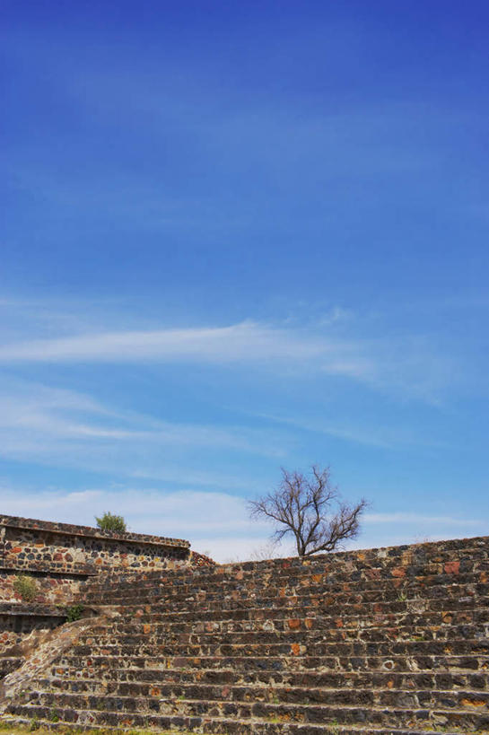 无人,竖图,室外,白天,仰视,旅游,度假,名胜古迹,植物,城市,地标,墨西哥,一棵,遗迹,三角形,云,云朵,首都,云彩,古迹,历史,文物,娱乐,古建筑,树,树木,蓝色,绿色,白云,蓝天,天空,自然,天,享受,休闲,旅游胜地,金字塔,放松,生长,晴朗,成长,北美,陵墓,北美洲,玛雅金字塔,美洲,古文明,墨西哥城,特奥蒂瓦坎,方锥形,北亚美利加洲,亚美利加洲,墨西哥合众国,仙人掌王国,阿兹特克金字塔,阿兹特克金字塔大神庙,狄奥提瓦康,迪奥狄华肯,联邦区,特奥蒂瓦坎古城,月亮金字塔,晴空,彩图,低角度拍摄,标志性建筑