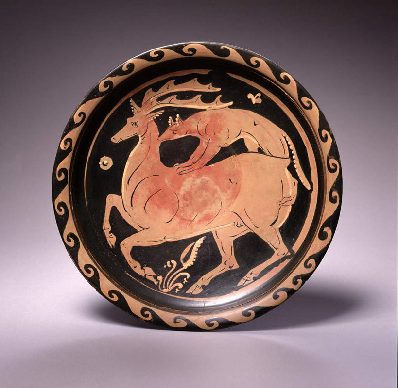 无人,站,横图,室内,特写,白天,正面,哺乳动物,鹿,野生动物,静物,餐具,两头,灰色背景,碟子,盘,注视,一个,动物,盘子,碟,观察,看,站着,可爱,摄影,活泼,影棚,单个,观看,察看,关注,站立,彩图,全身,影棚拍摄,拍摄